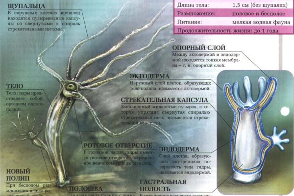 Кракен даркнет как зайти