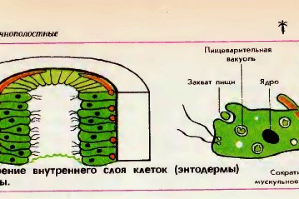 Сайт kraken тор