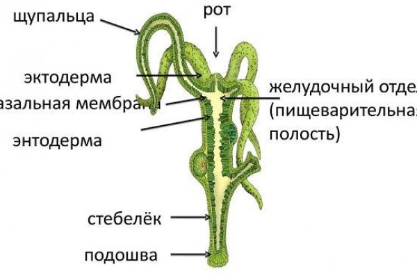 Кракен современный маркет